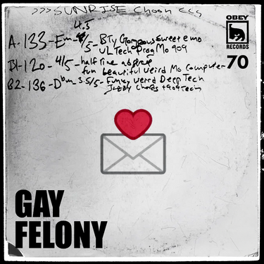 GAY FELONY