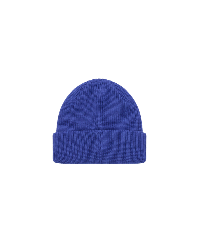 FUTURE BEANIE