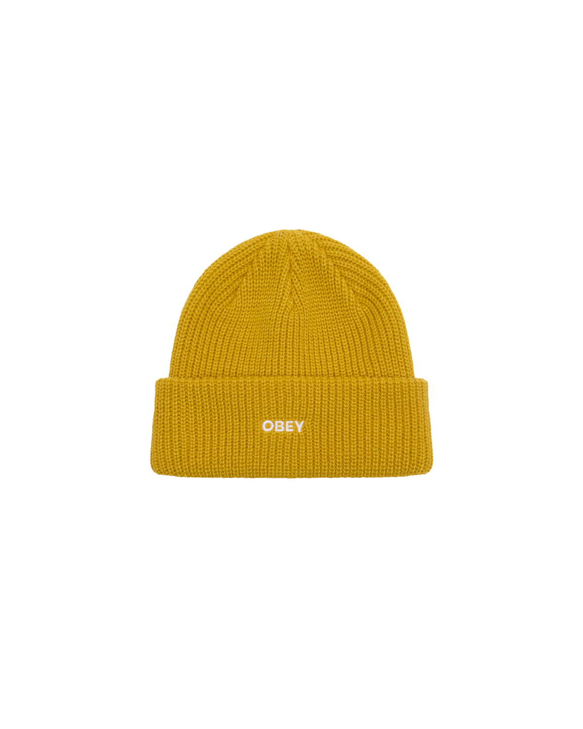 FUTURE BEANIE