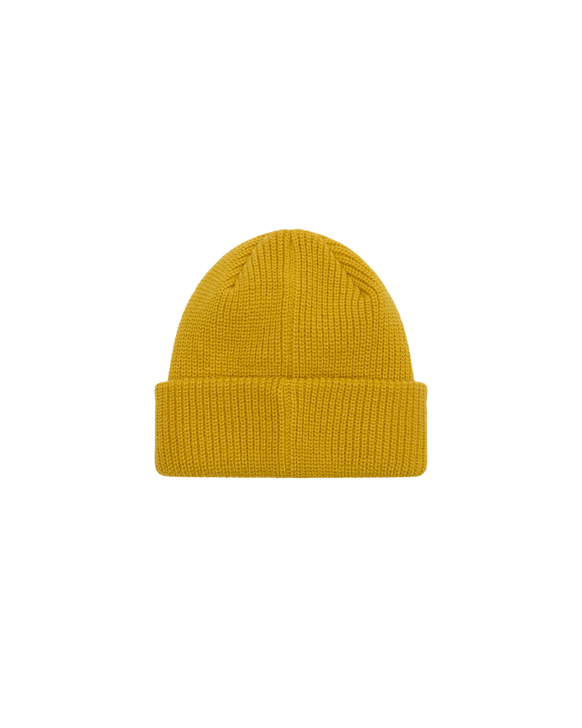 FUTURE BEANIE