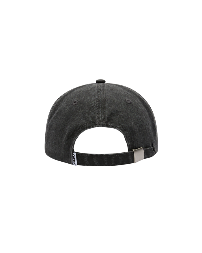 HALF ICON PIGMENT HAT - alternate view