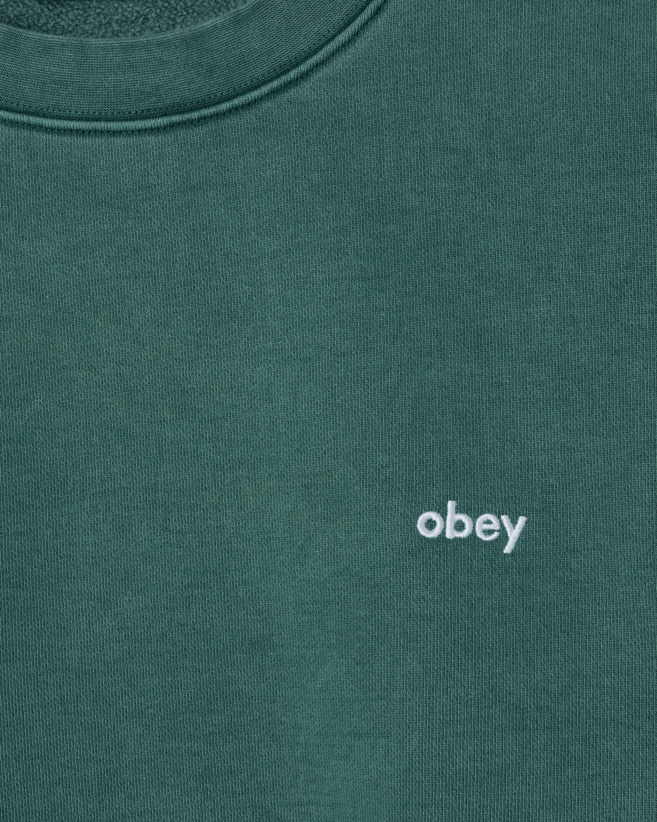 LOWERCASE PIGMENT CREWNECK (zoomed)