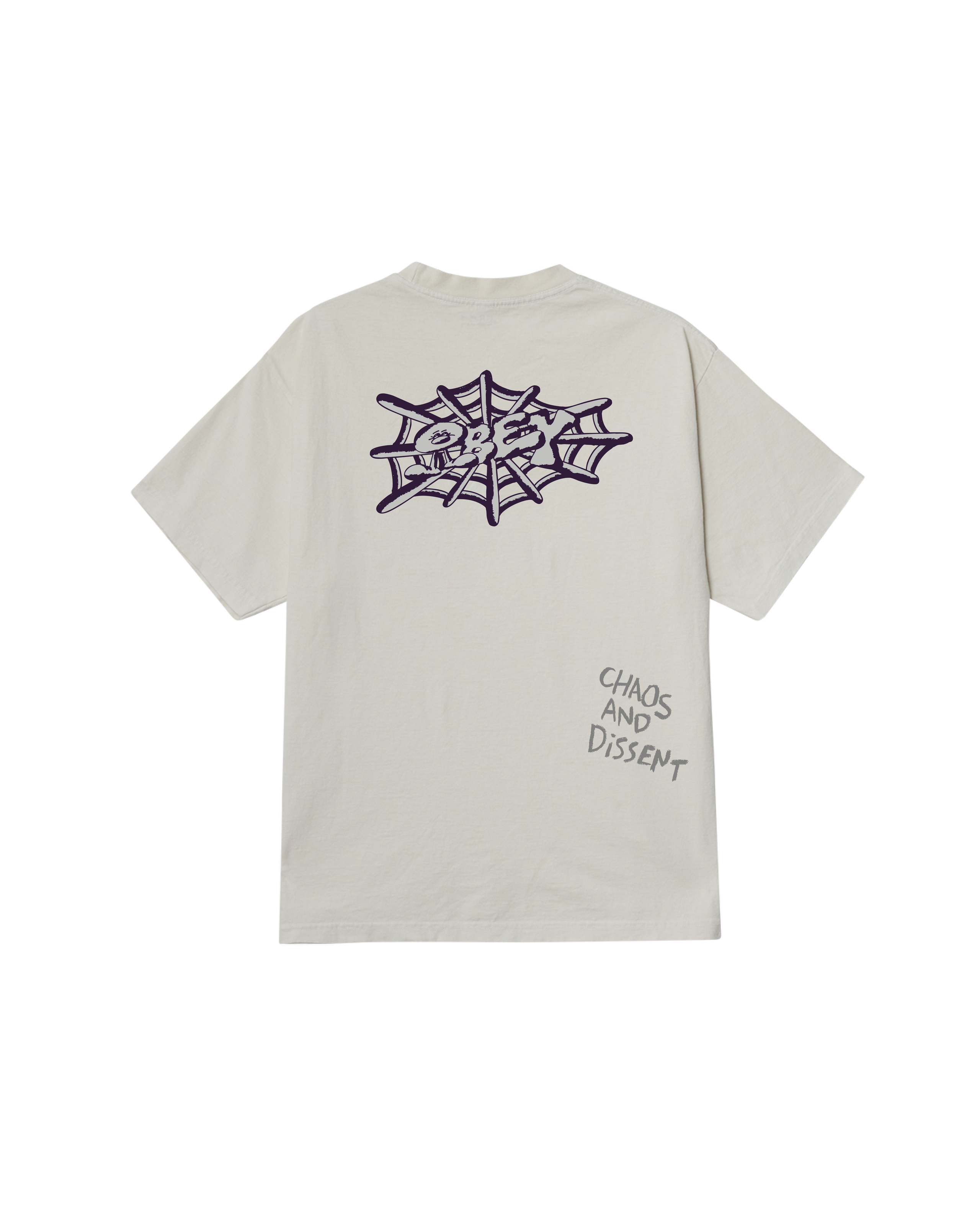 CHAOS & DISSENT PIGMENT T-SHIRT (zoomed)