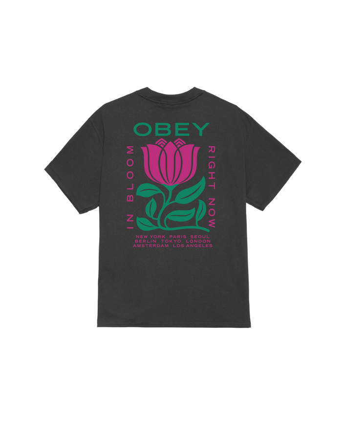 obey-in-bloom-classic-t-shirt-vintage-black