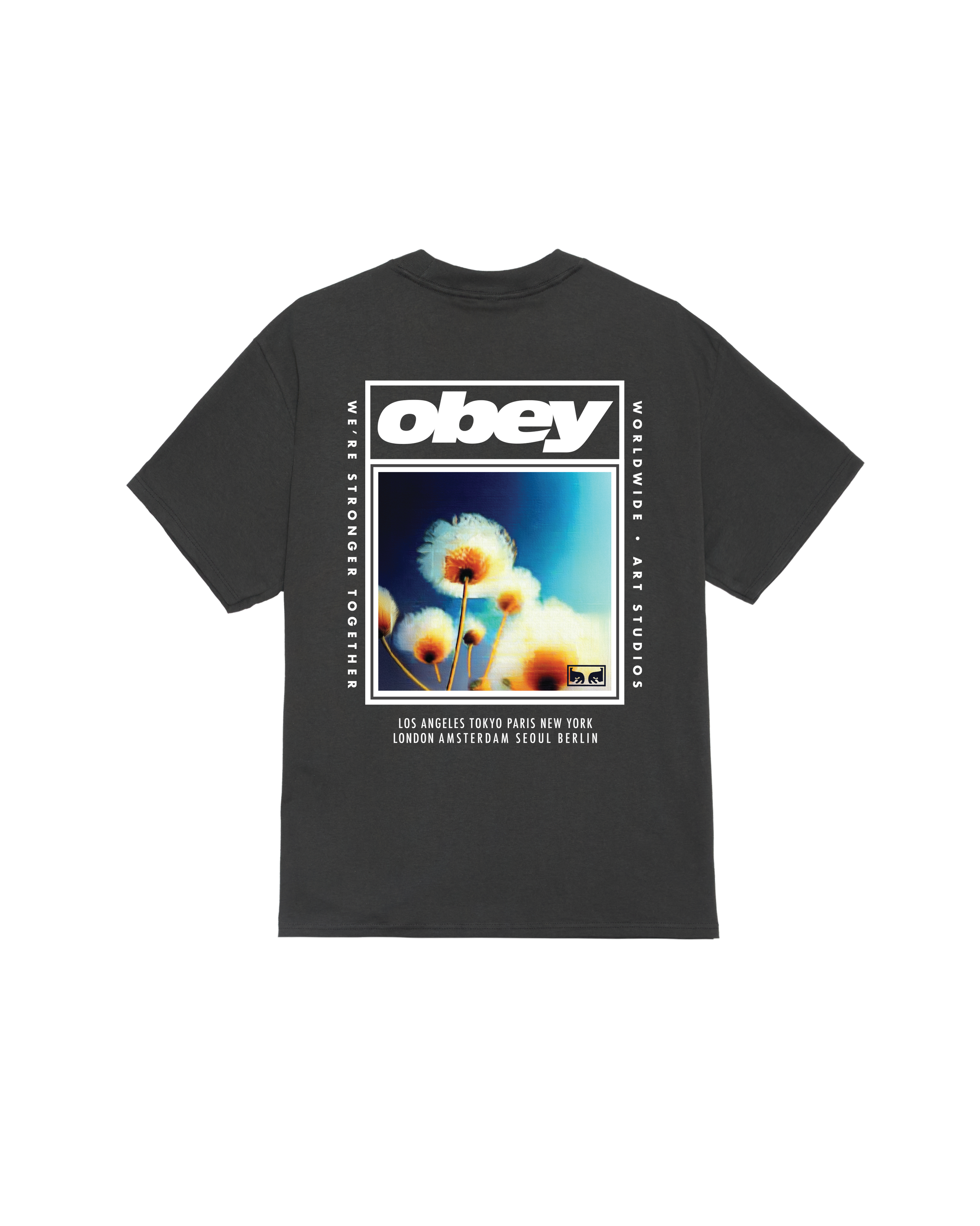 obey-stronger-together-classic-t-shirt-vintage-black (zoomed)