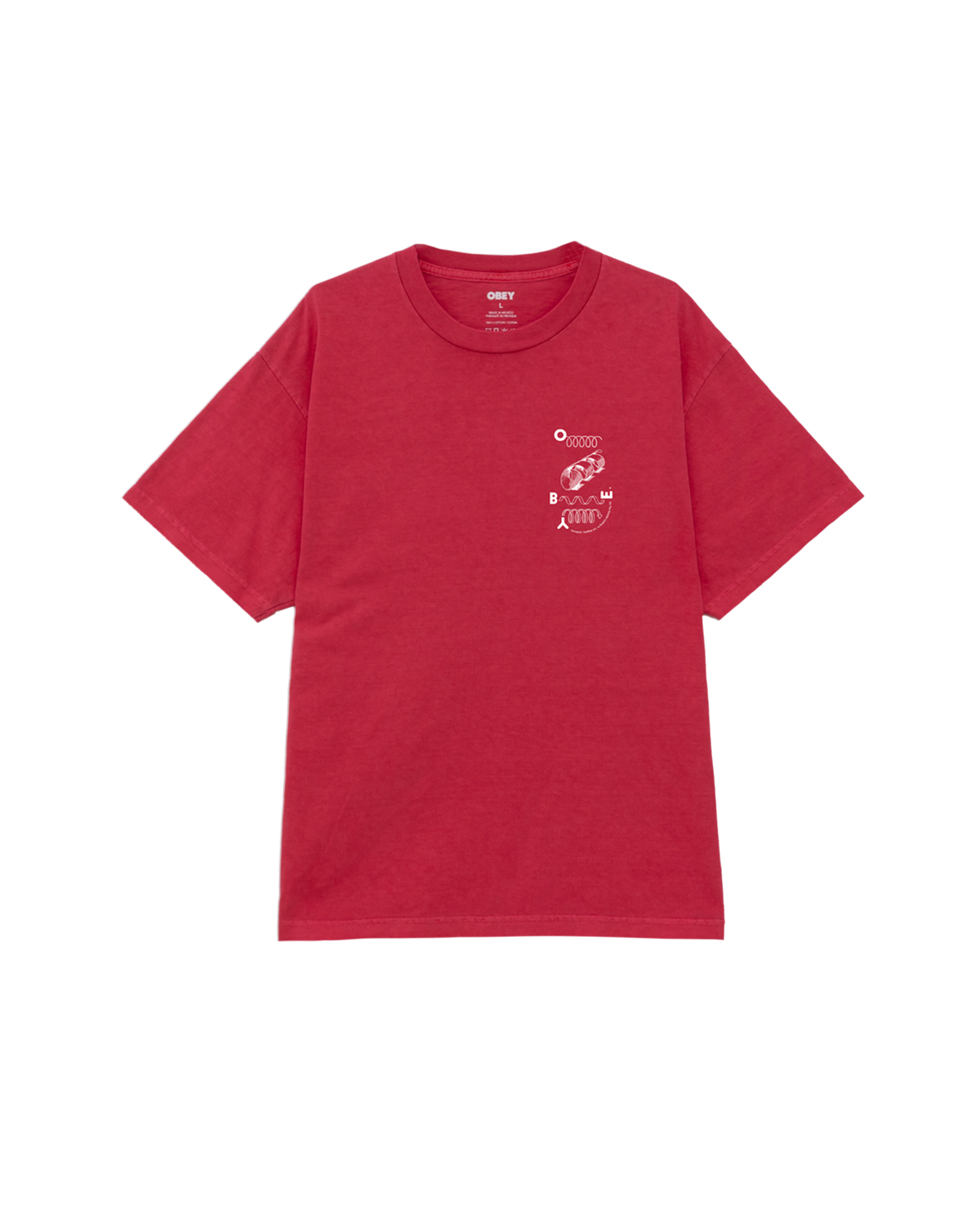 OUTSIDE LOOKING IN PIGMENT BOX T-SHIRT