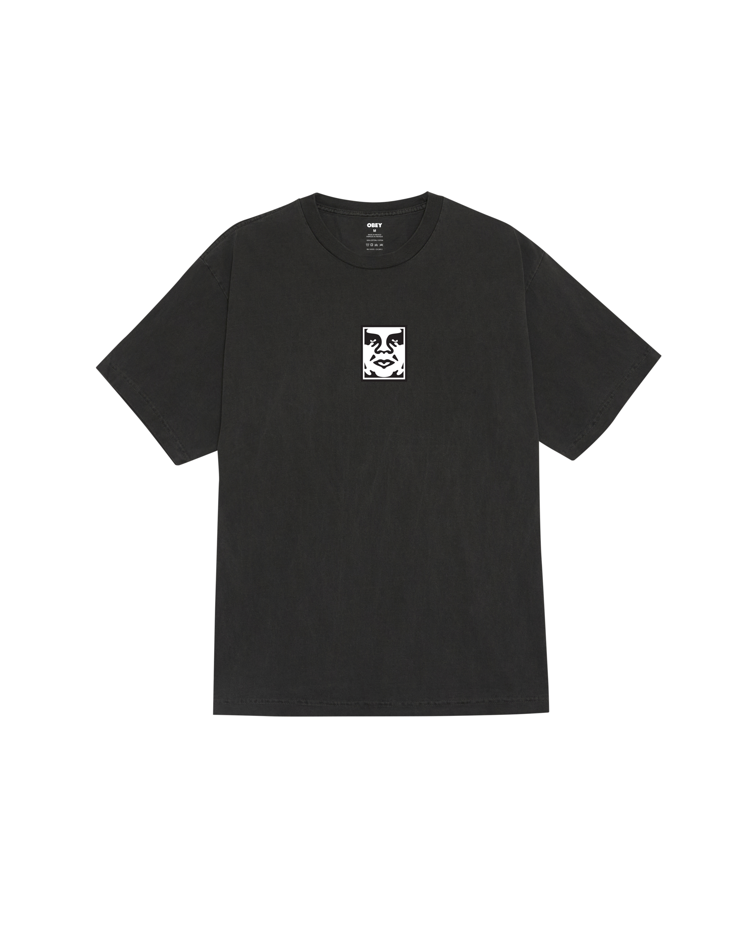 ICON FACE PIGMENT T-SHIRT (zoomed)