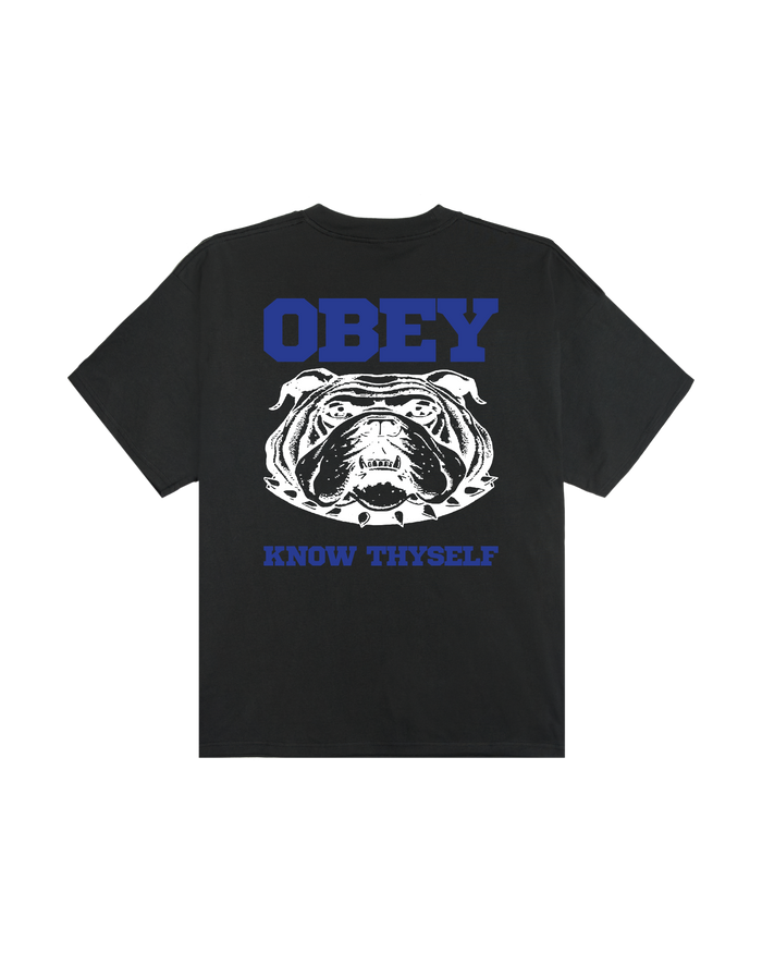 obey-know-thyself-heavyweight-t-shirt-vintage-black
