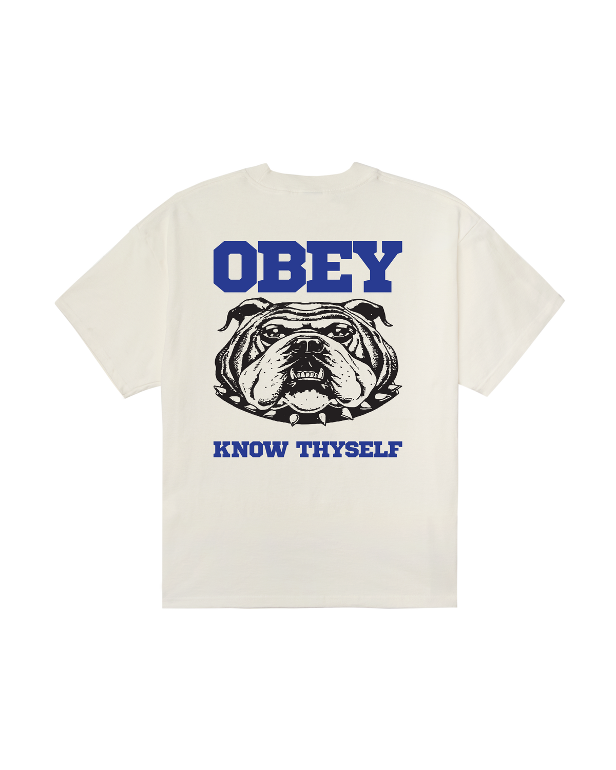 obey-know-thyself-heavyweight-t-shirt-vintage-white (zoomed)