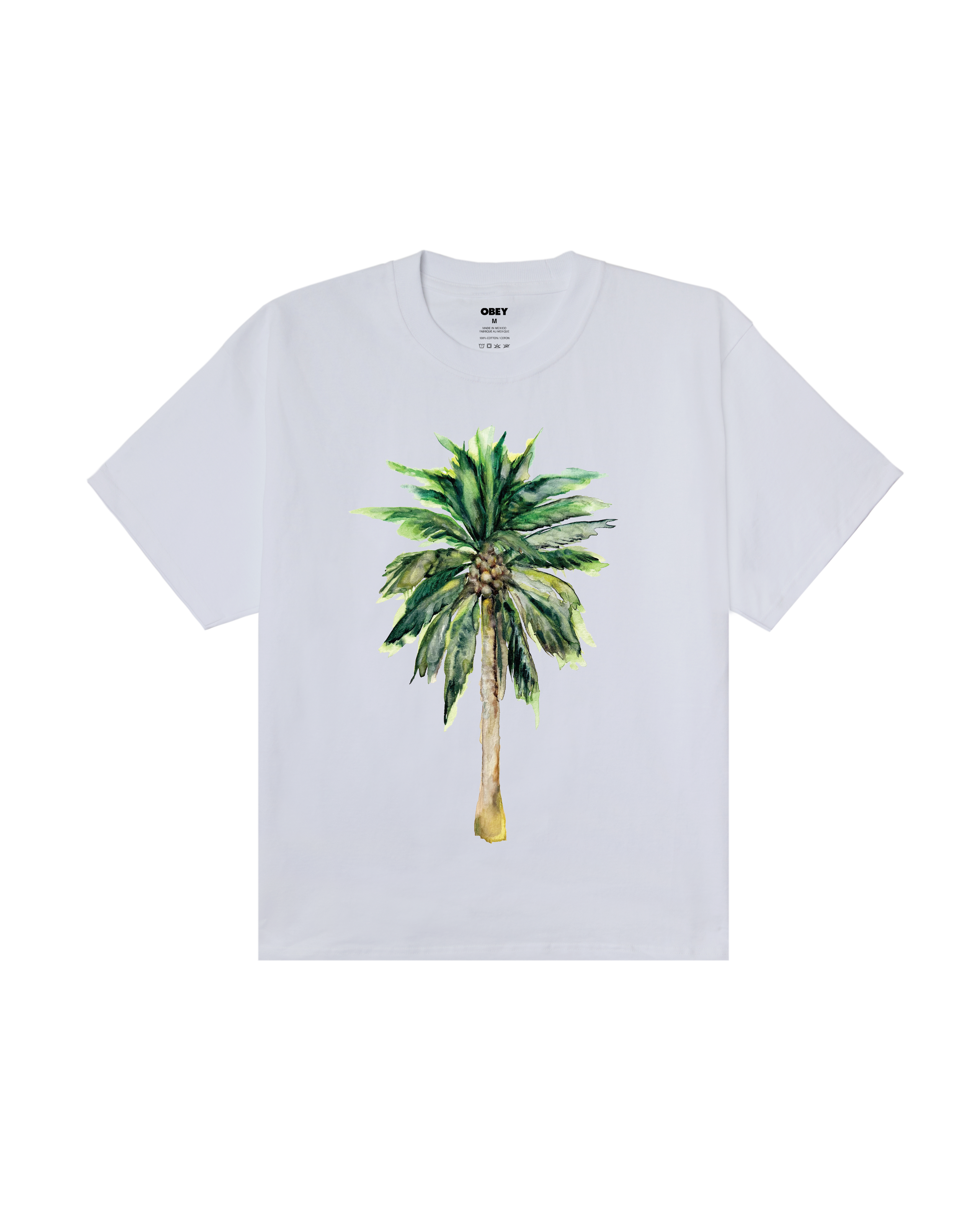 PALM HEAVYWEIGHT T-SHIRT (zoomed)