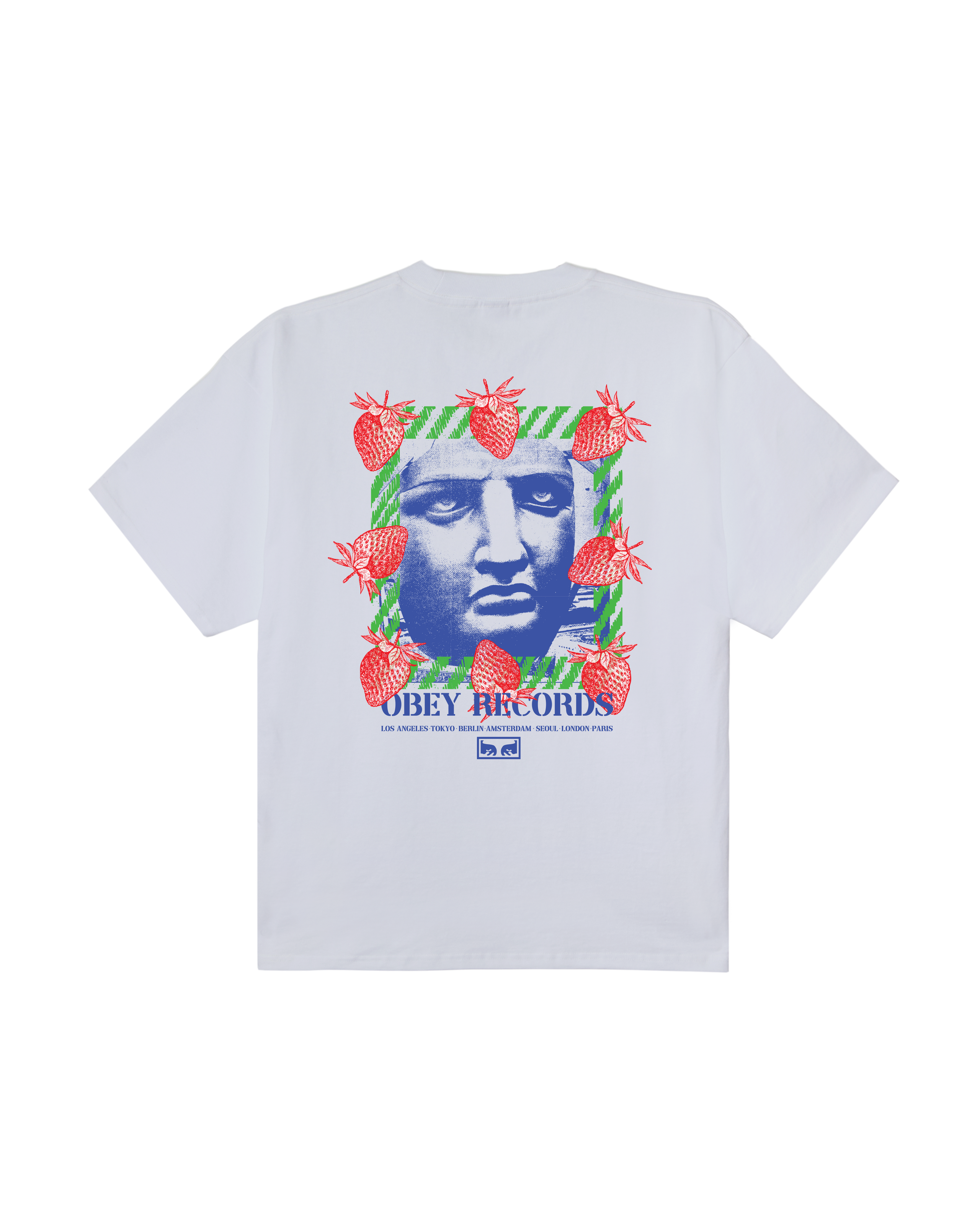 obey-garden-heavyweight-t-shirt-white (zoomed)