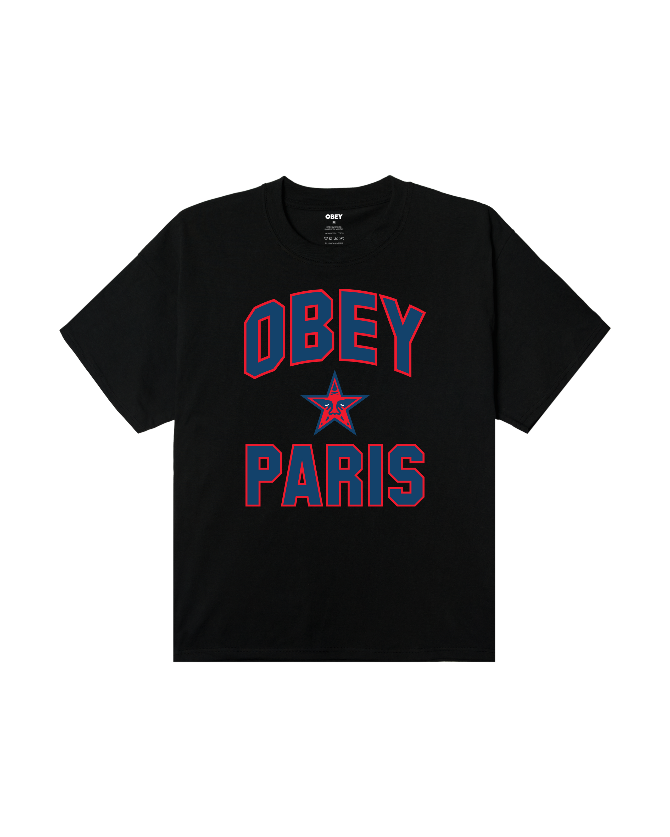 PARIS CITY STAR HEAVYWEIGHT T-SHIRT (zoomed)