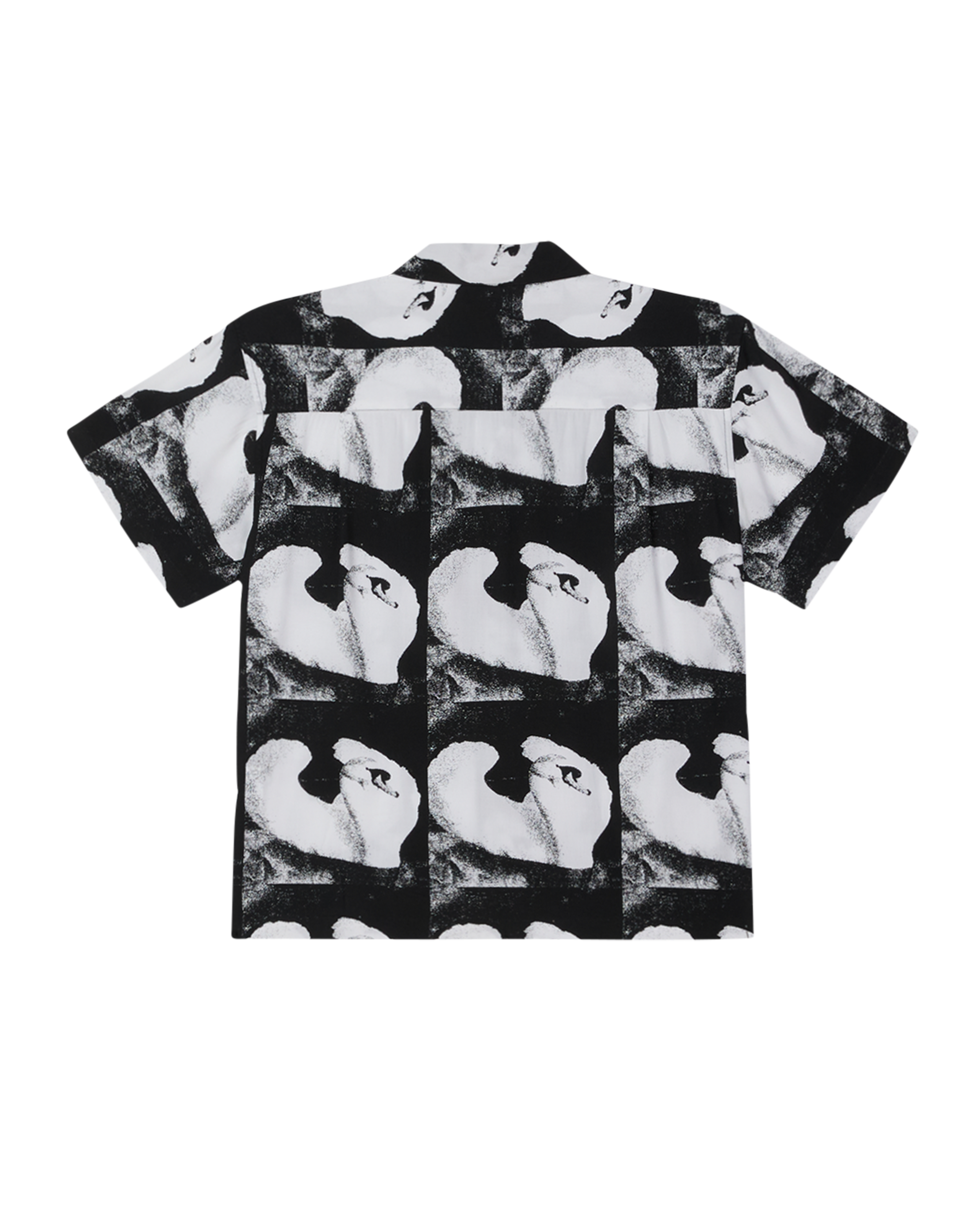 AMBRE SHIRT (zoomed)