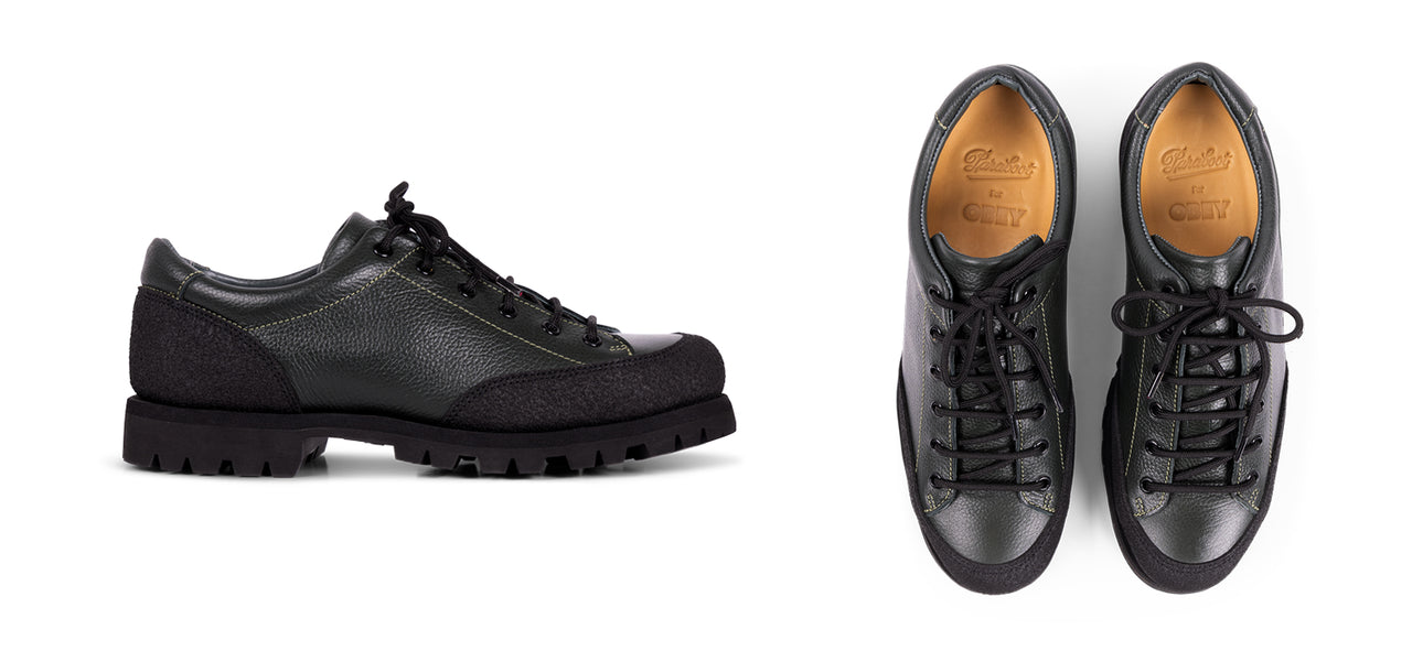 Image side view and top view of Paraboot x Obey shoe