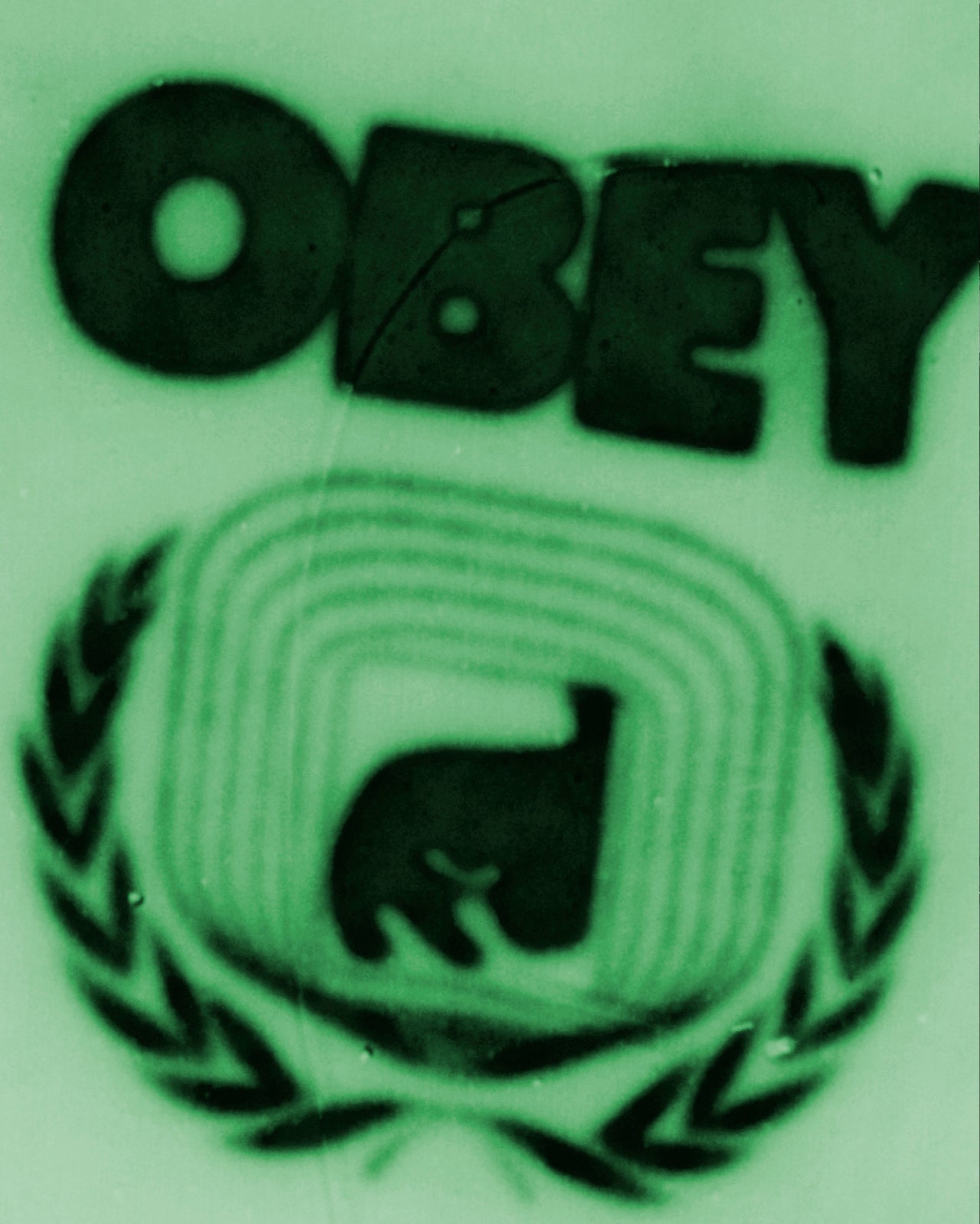 Image of Paraboot x Obey logo on t-shirt with green filter