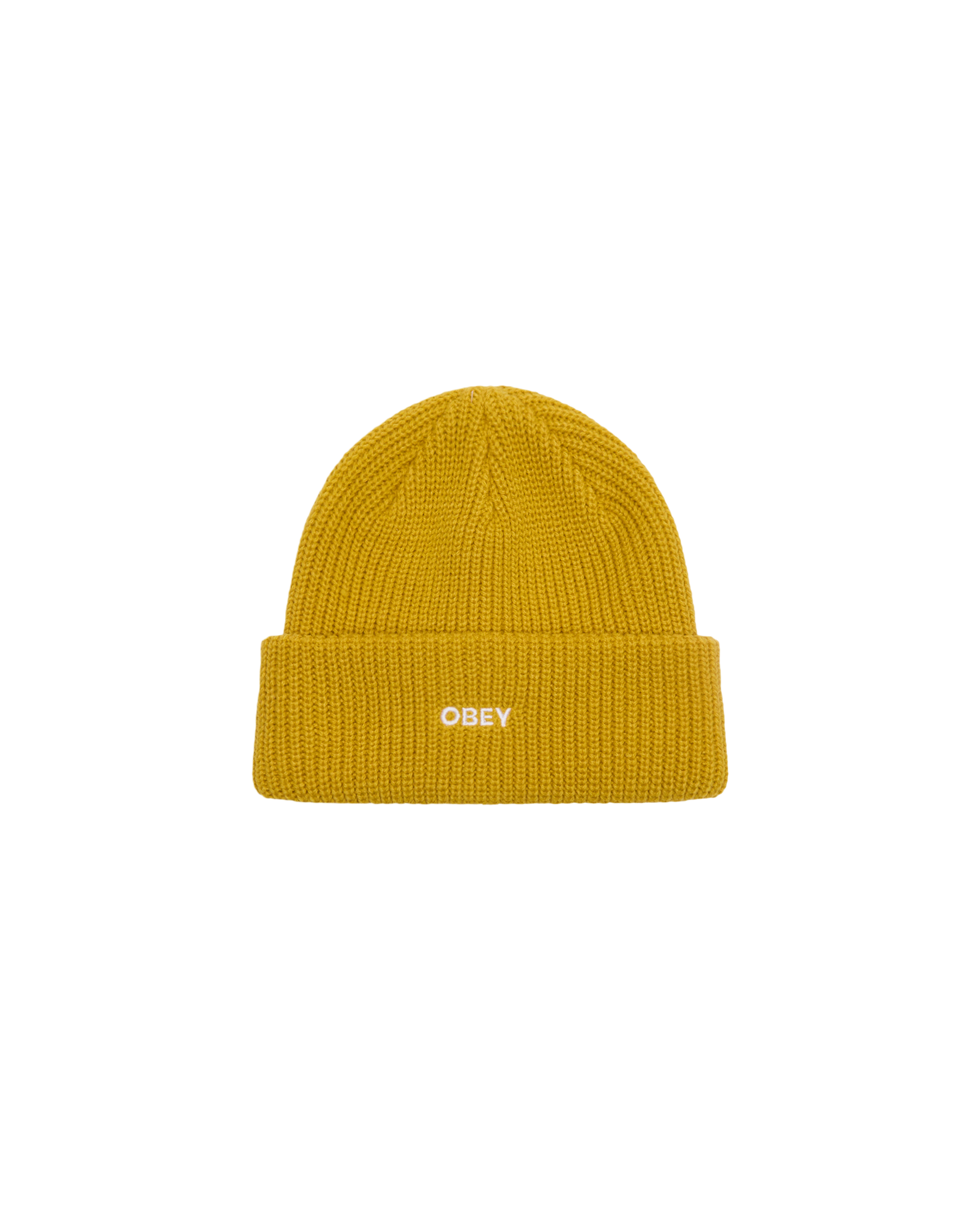 FUTURE BEANIE