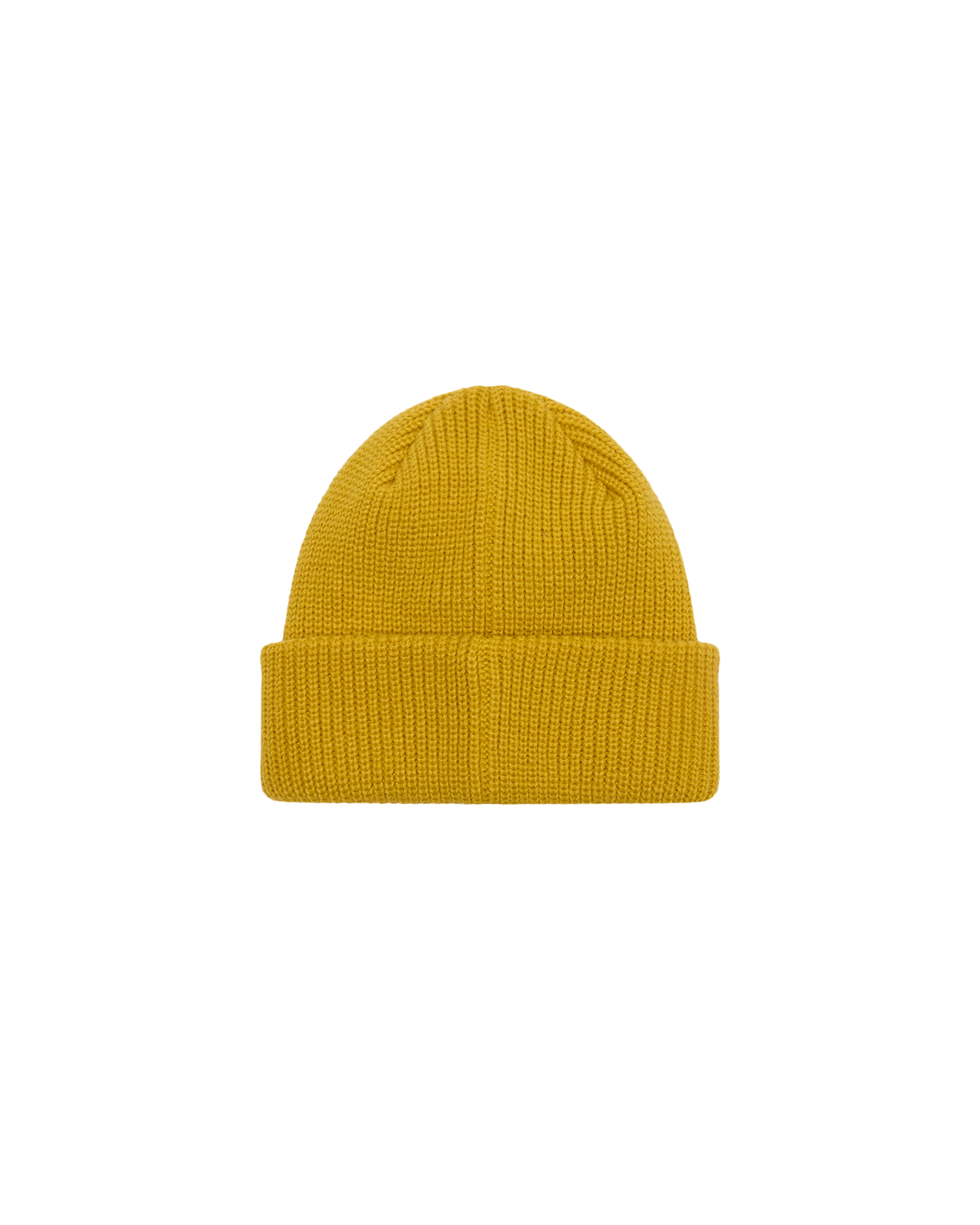 FUTURE BEANIE