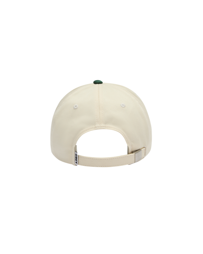 obey-design-studios-5-panel-spruce-multi - alternate view