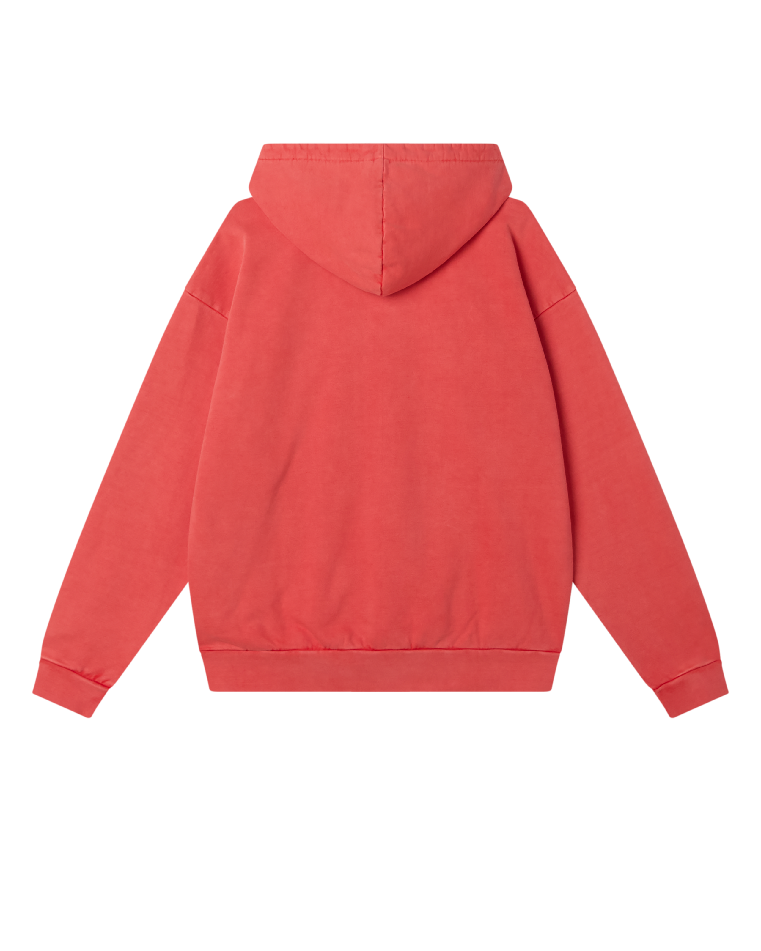 LOWERCASE PIGMENT ZIP HOOD (zoomed)
