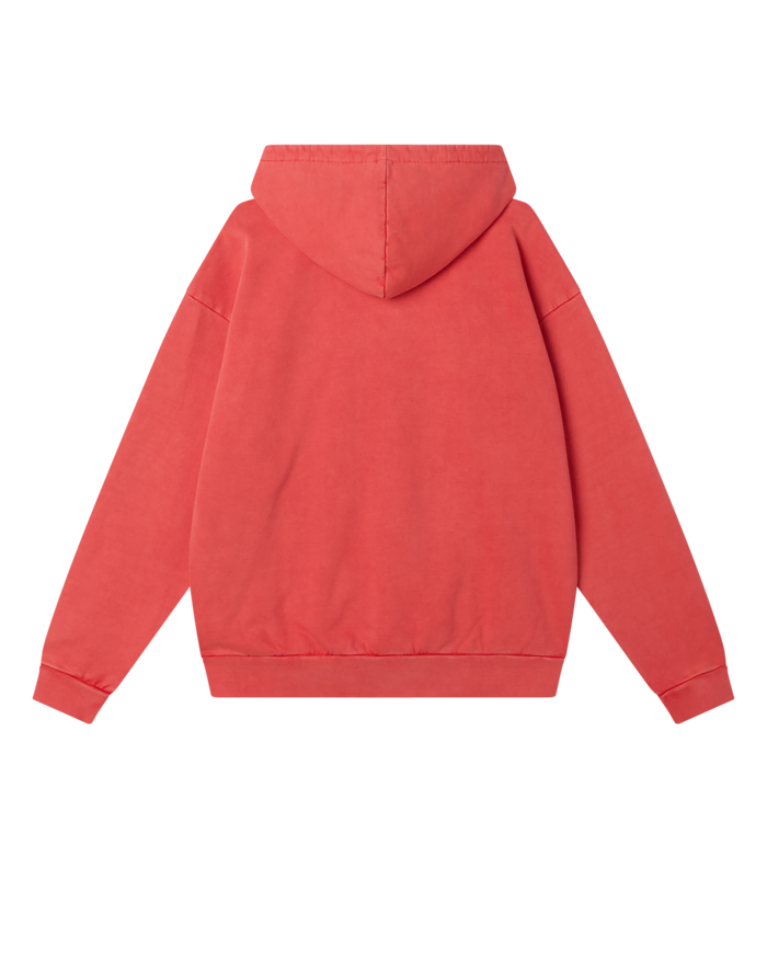 LOWERCASE PIGMENT ZIP HOOD - alternate view