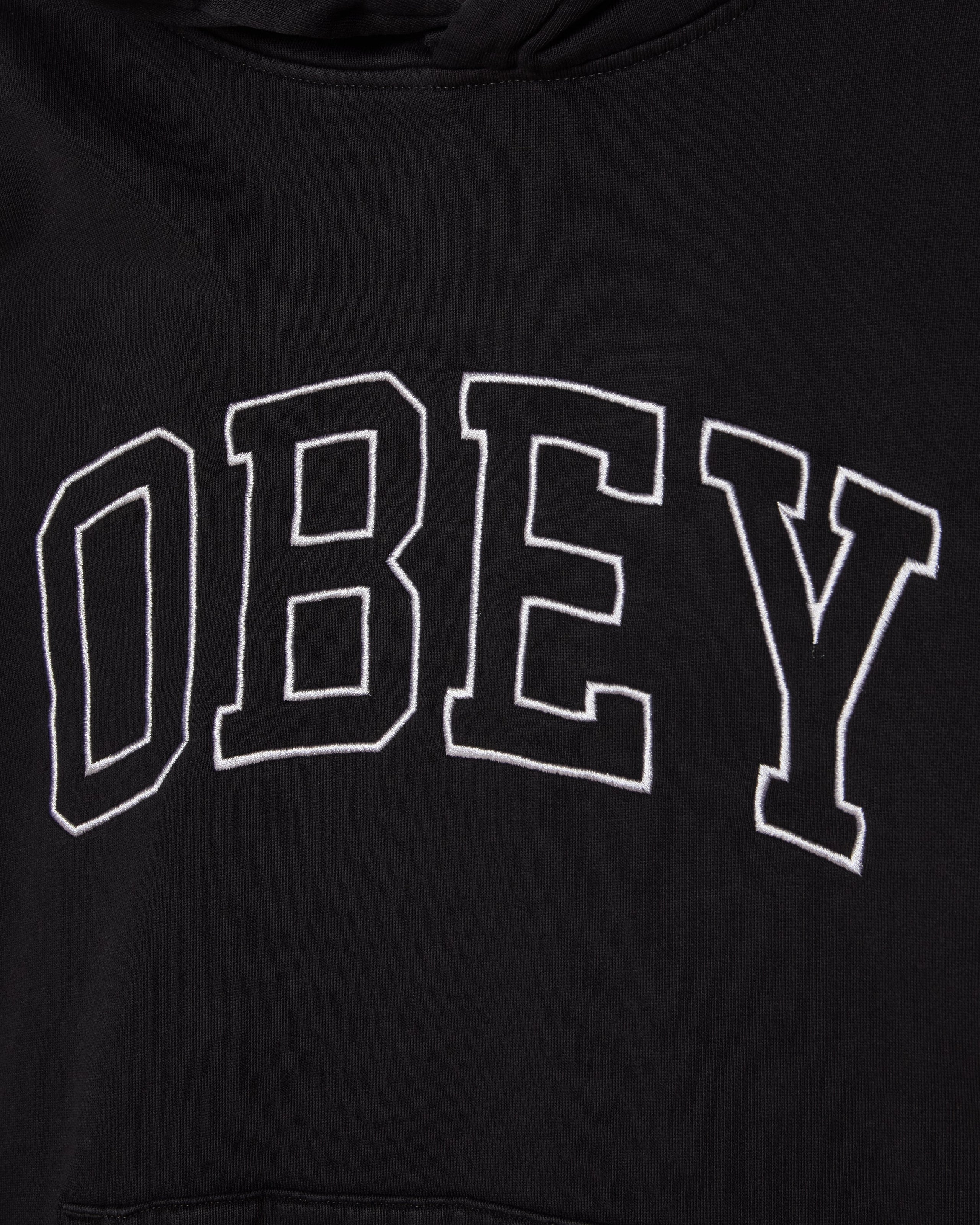 COLLEGIATE FADED PULLOVER