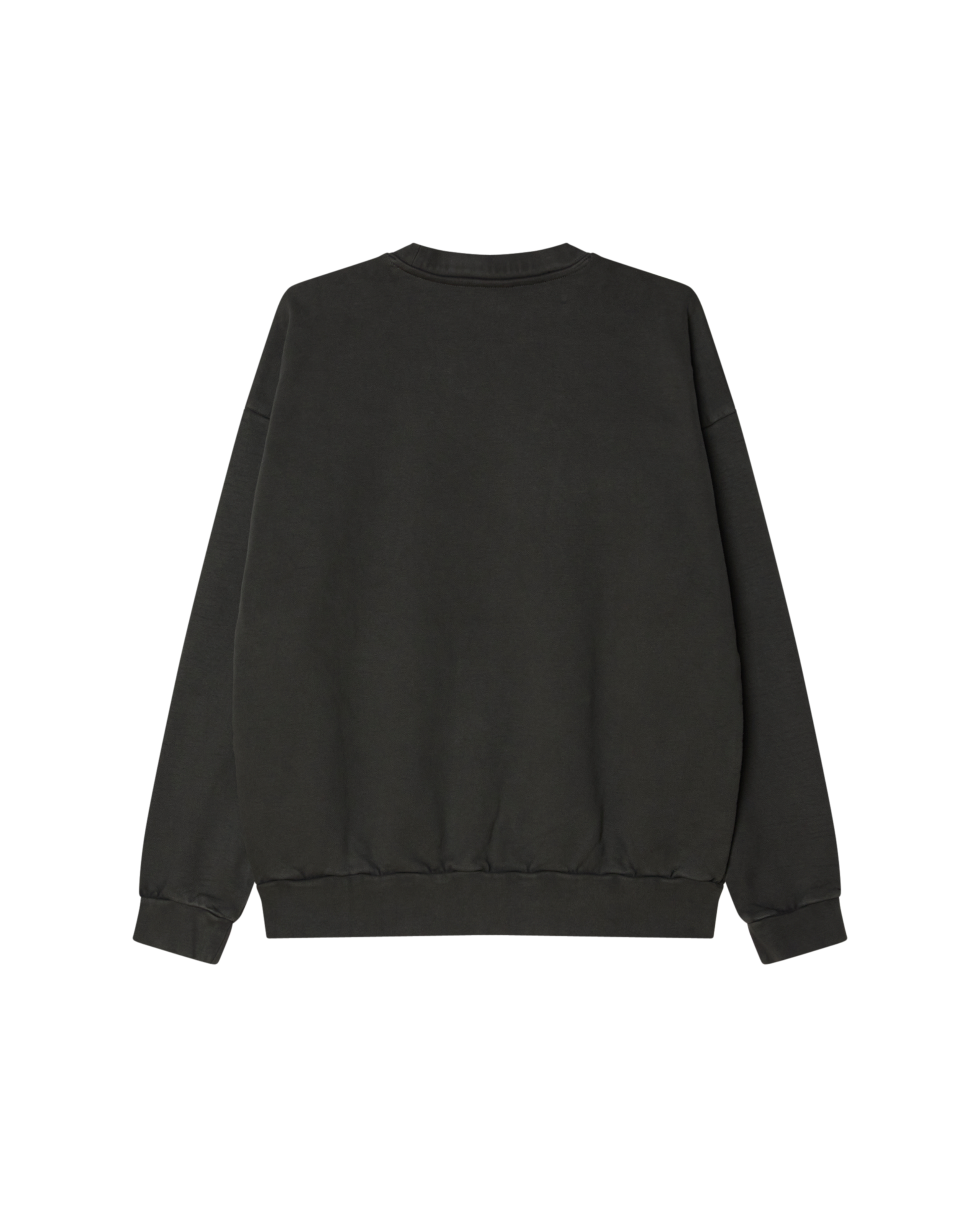 LOWERCASE PIGMENT CREWNECK