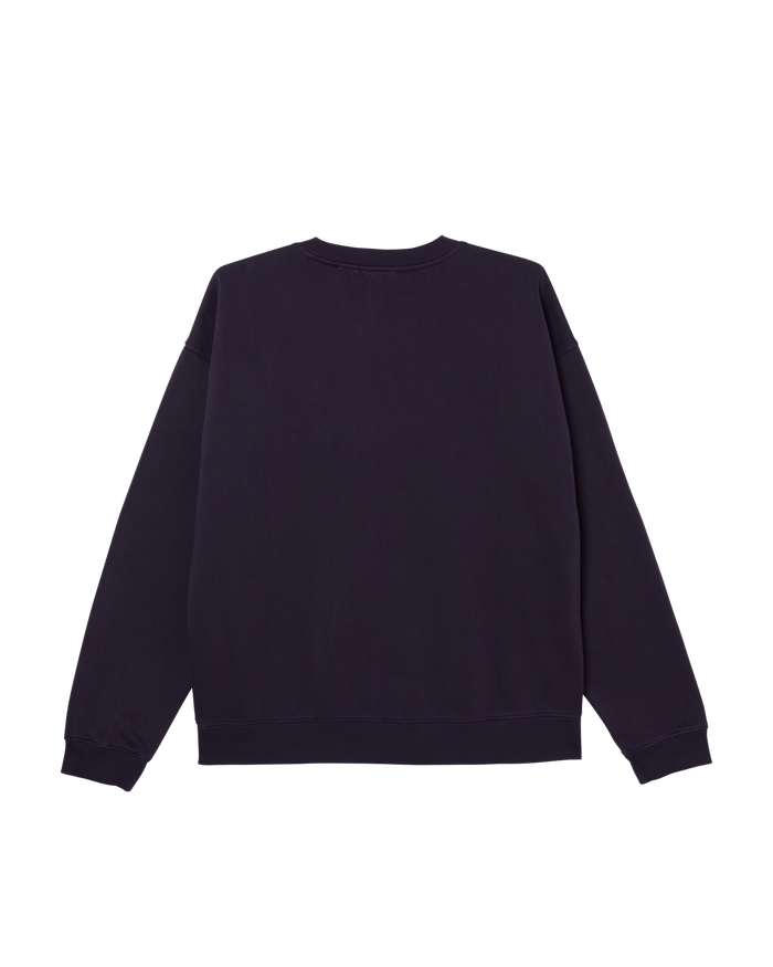 COLLEGIATE PIGMENT CREWNECK - alternate view