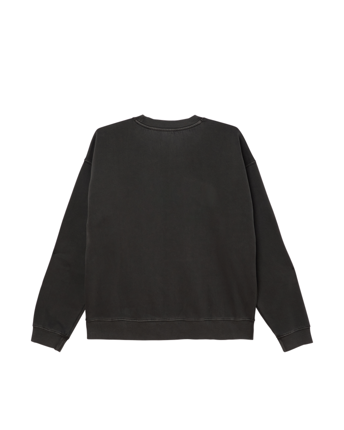 COLLEGIATE PIGMENT CREWNECK - alternate view