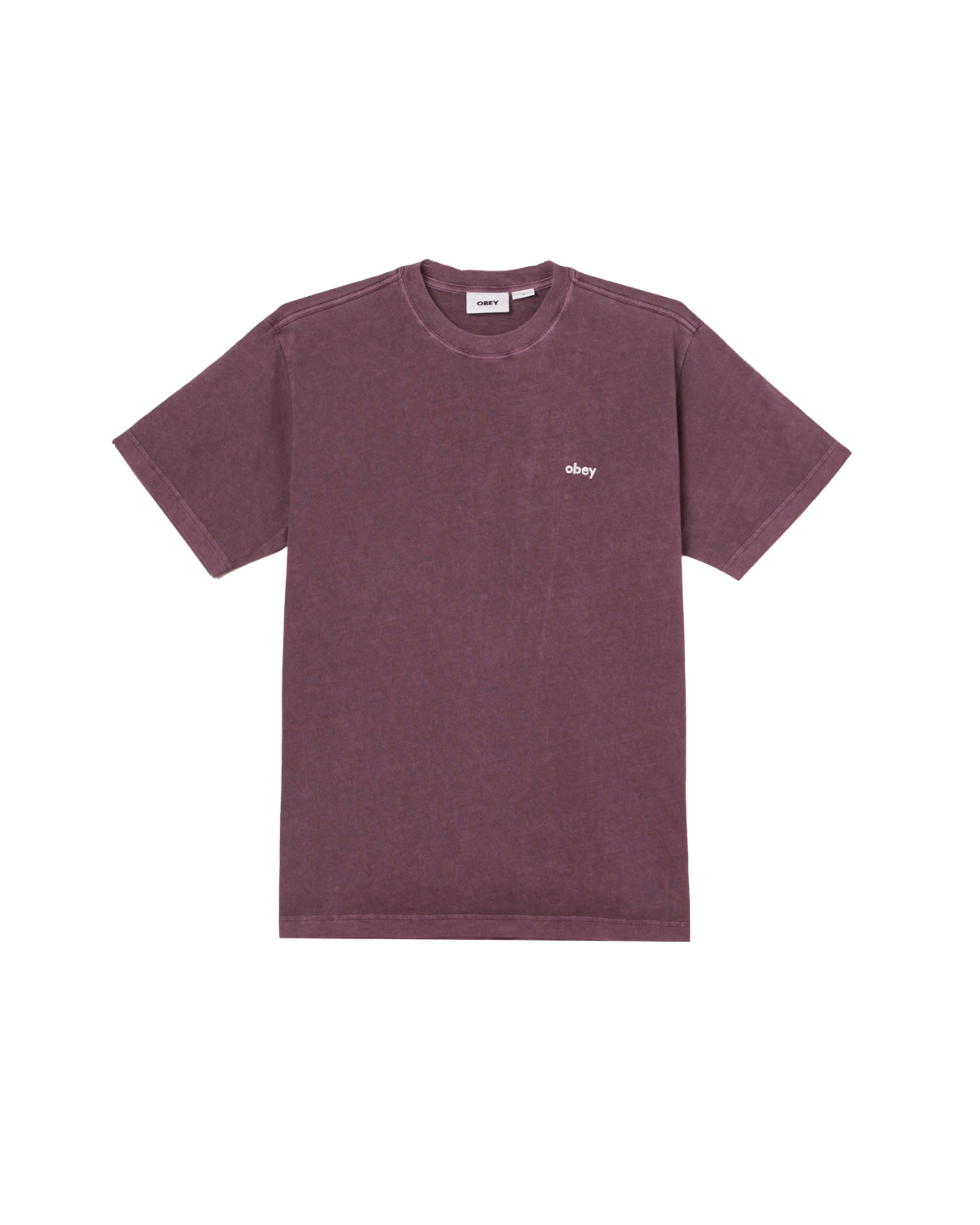 LOWERCASE PIGMENT T-SHIRT Pigment Plum Perfect