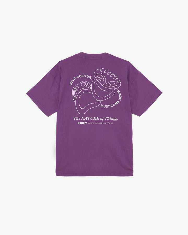 THE NATURE OF THINGS HEAVYWEIGHT T-SHIRT IMPERIAL PURPLE