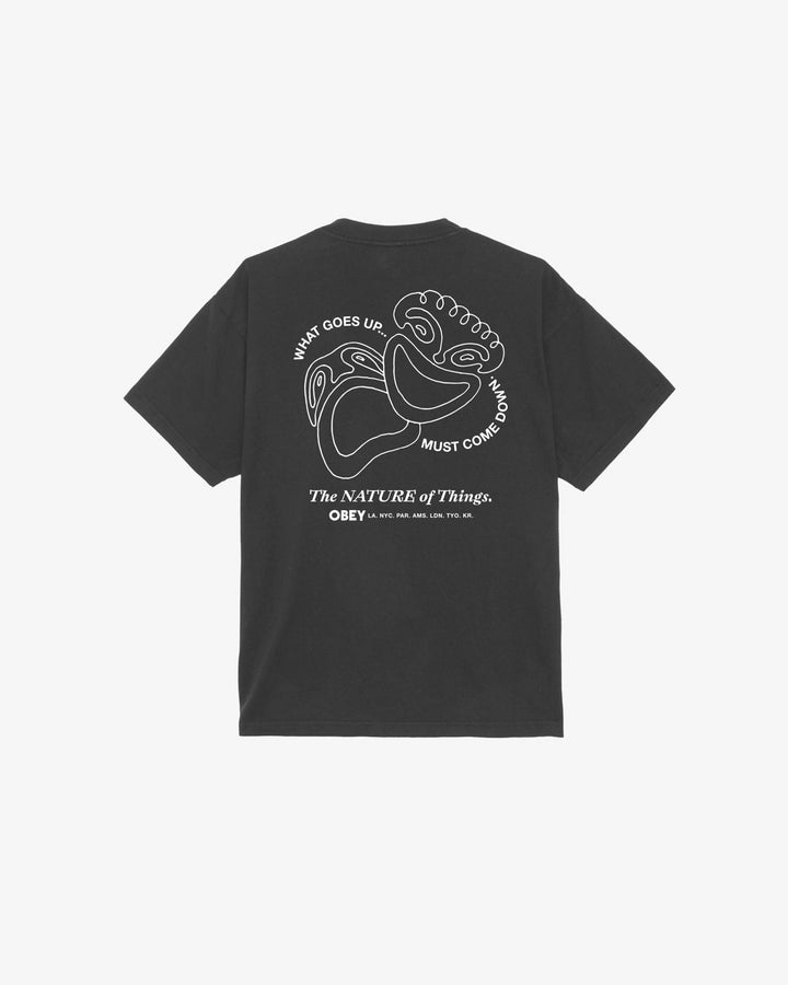 THE NATURE OF THINGS HEAVYWEIGHT T-SHIRT VINTAGE BLACK