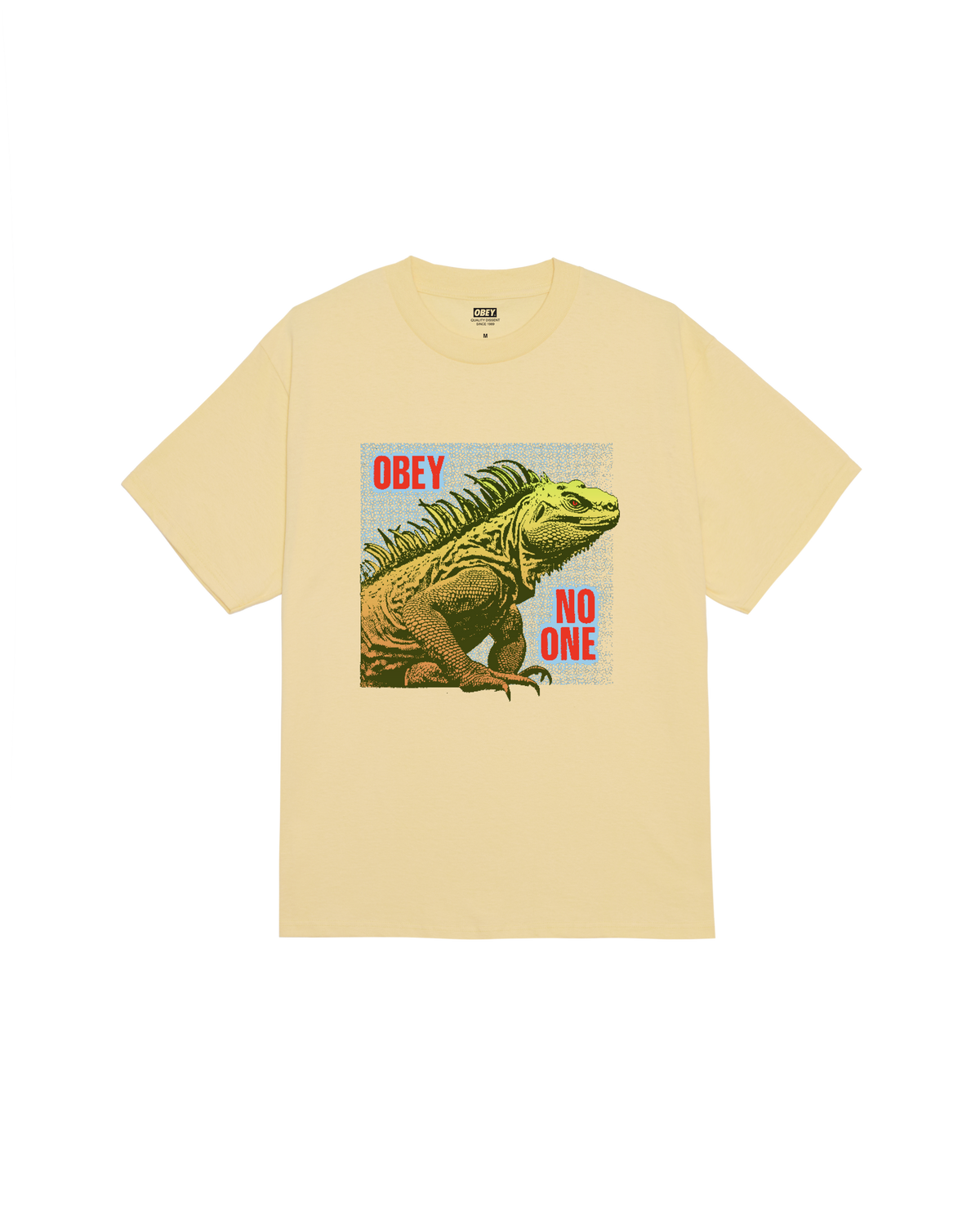NO ONE REPTILE PIGMENT BOX T-SHIRT