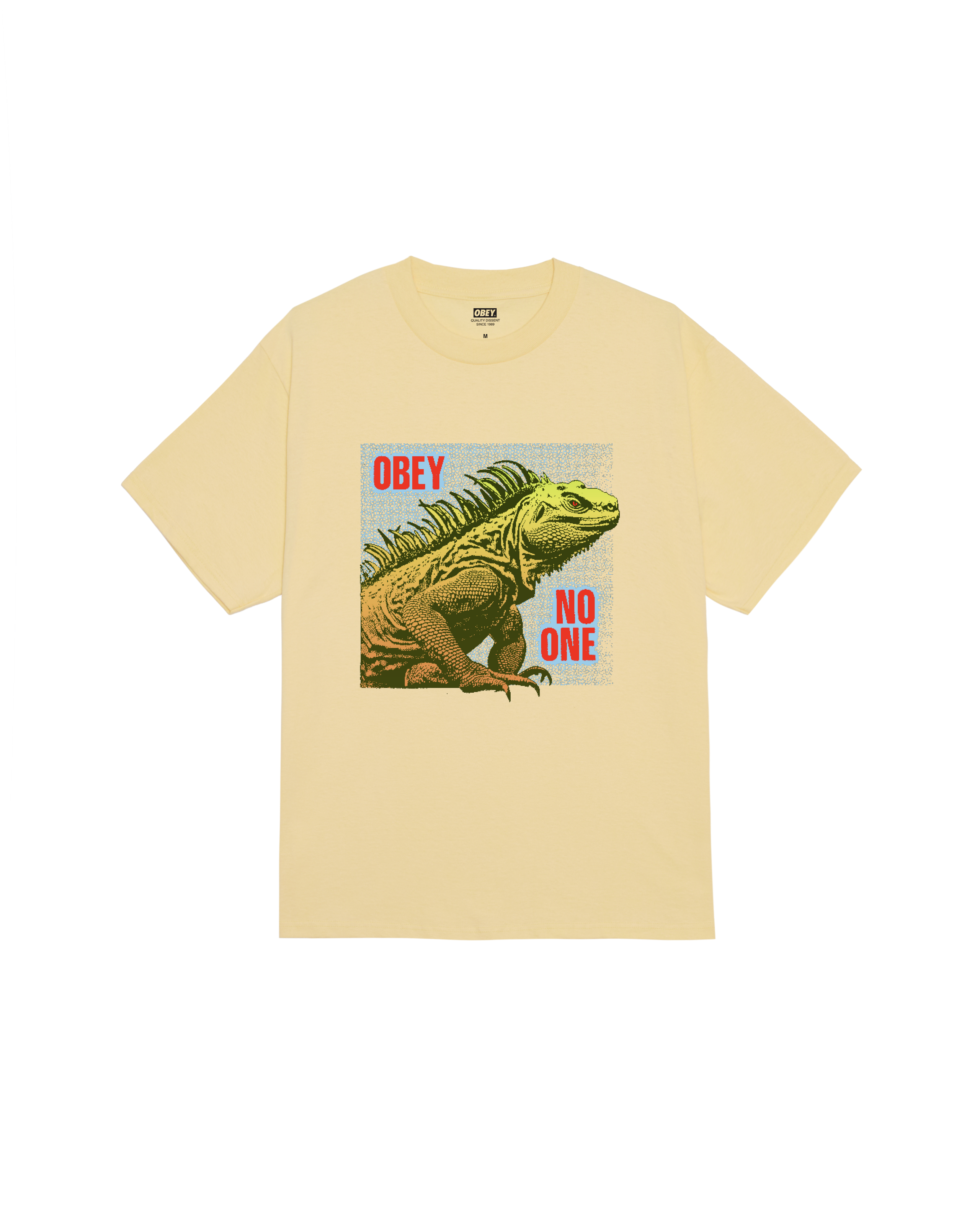 NO ONE REPTILE PIGMENT BOX T-SHIRT