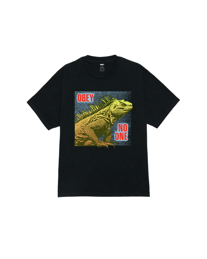 NO ONE REPTILE PIGMENT BOX T-SHIRT