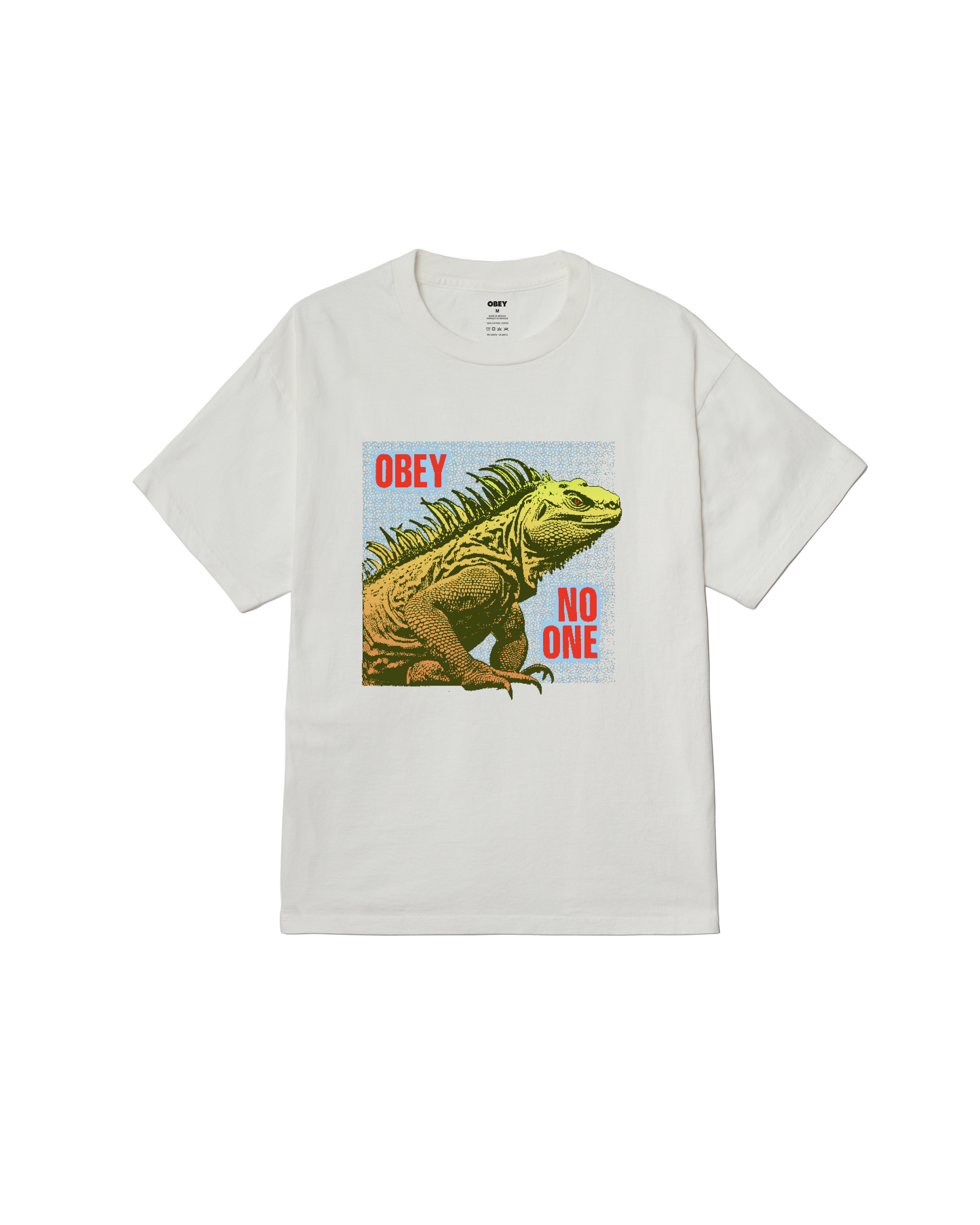 NO ONE REPTILE PIGMENT BOX T-SHIRT