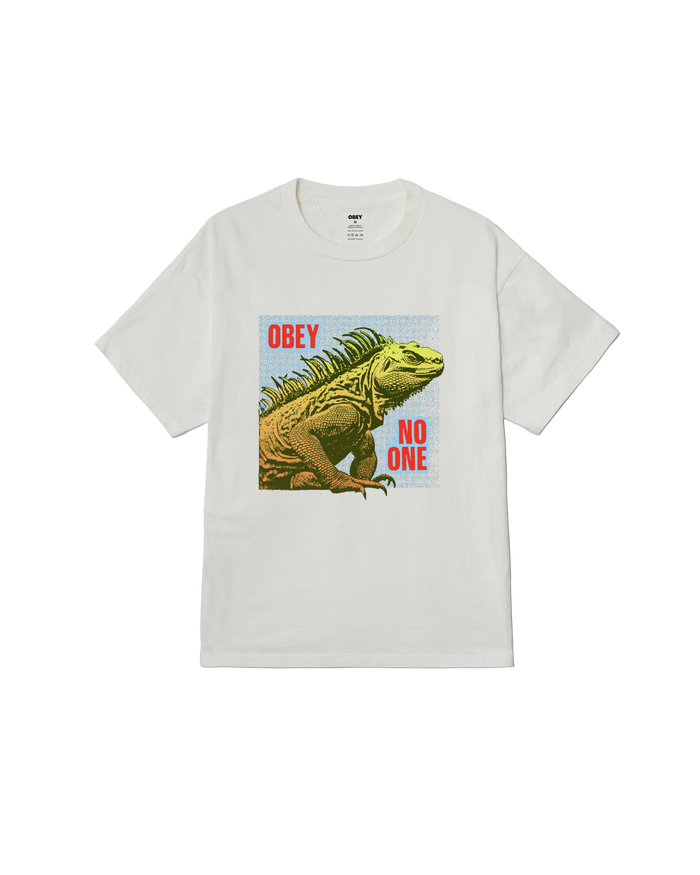 NO ONE REPTILE PIGMENT BOX T-SHIRT