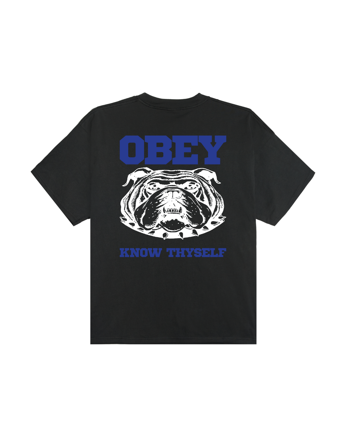 obey-know-thyself-heavyweight-t-shirt-vintage-black