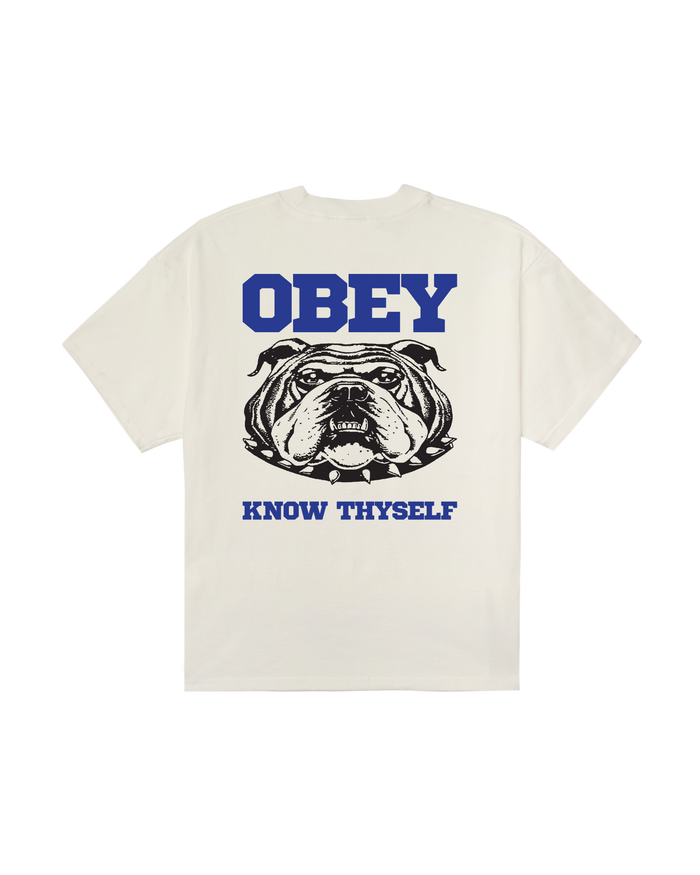 obey-know-thyself-heavyweight-t-shirt-vintage-white