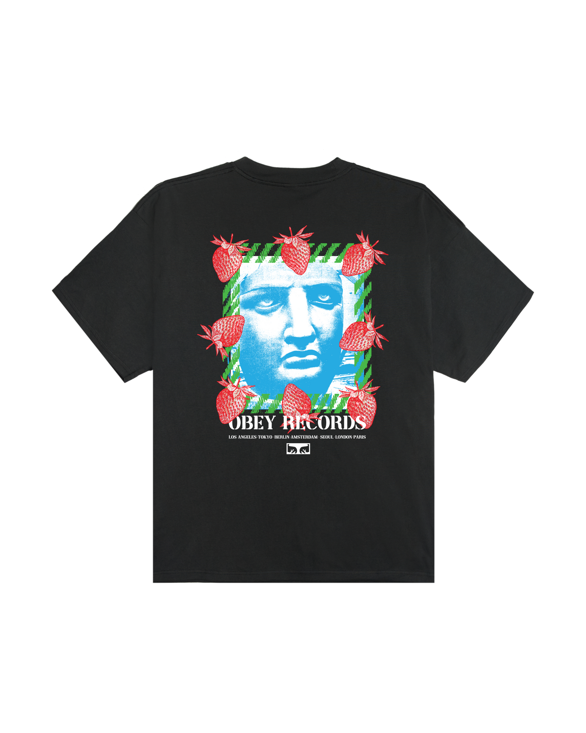 obey-garden-heavyweight-t-shirt-vintage-black