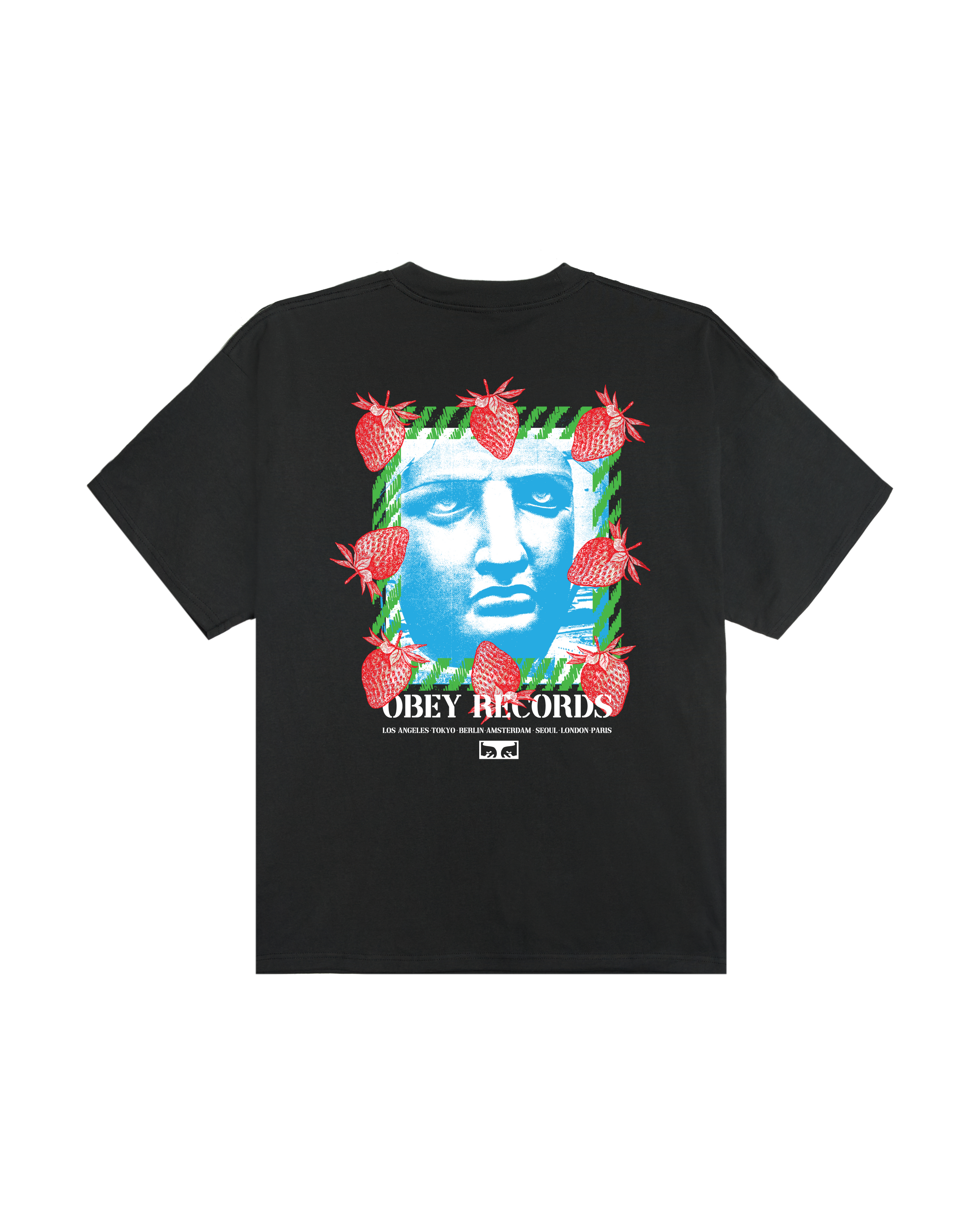 obey-garden-heavyweight-t-shirt-vintage-black (zoomed)