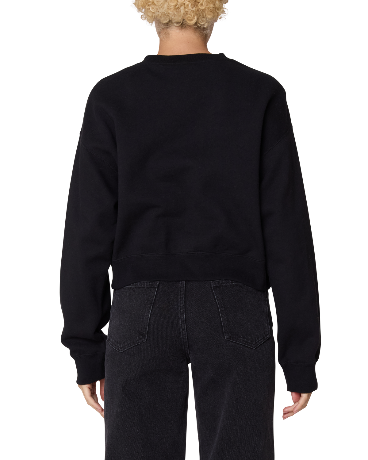 obey-arc-cropped-crewneck-digital-black (zoomed)
