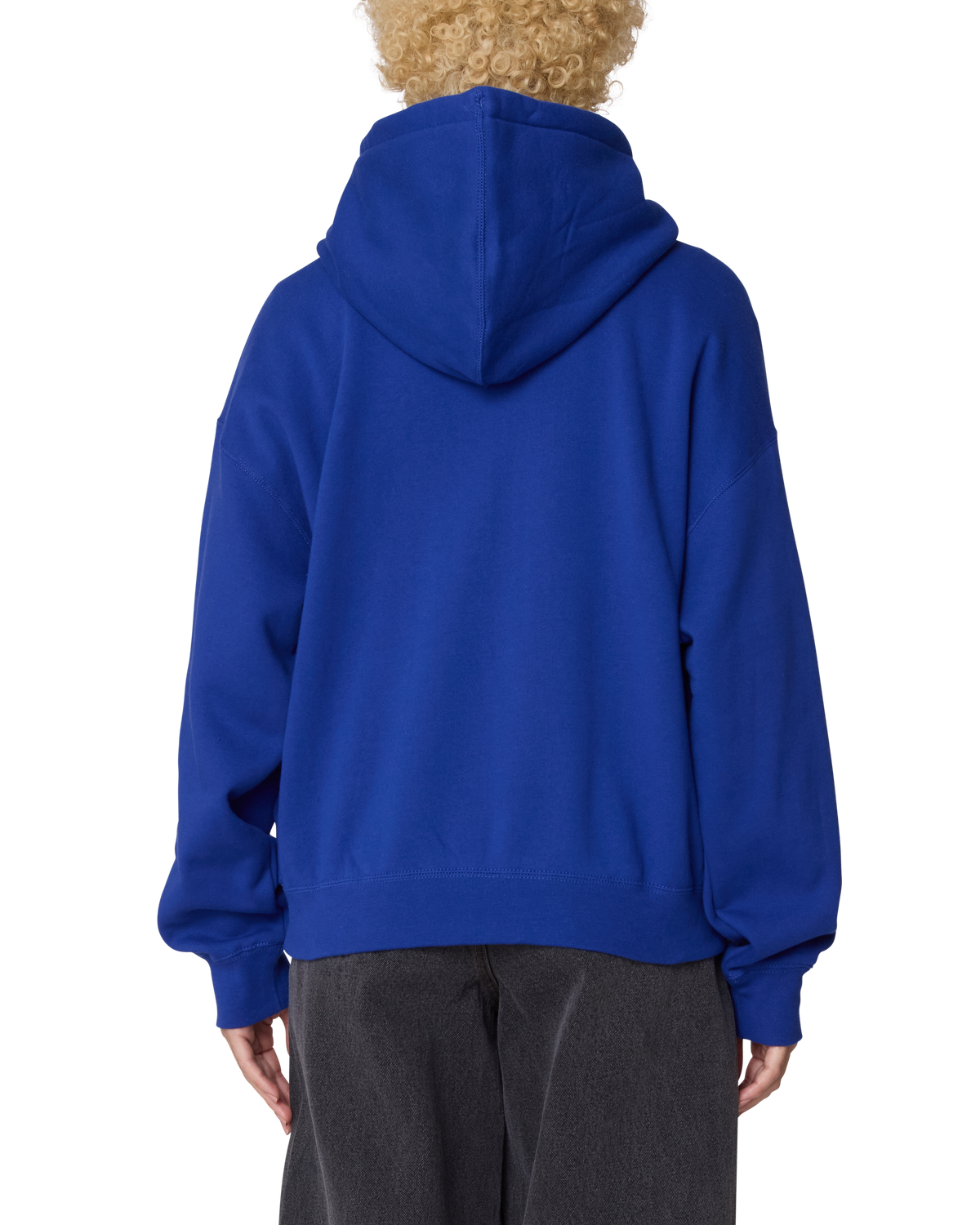 obey-jumble-baggy-zip-hood-blue