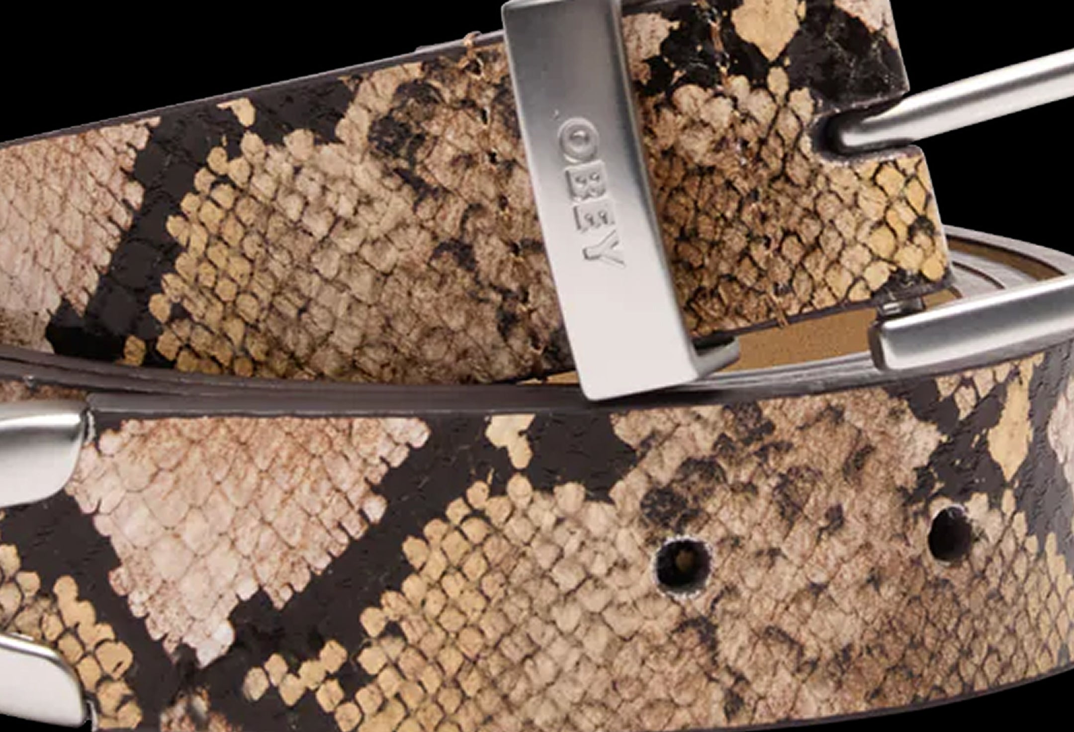 Close-up of a snake-patterned belt with a silver buckle on a black background